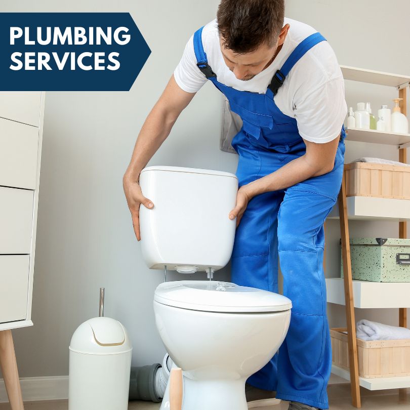 Plumbing Company in Allerton, IL